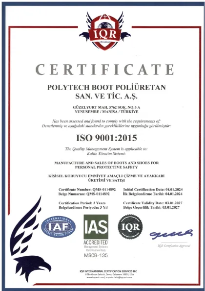 ISO 9001:2015 certificate — Quality Management System